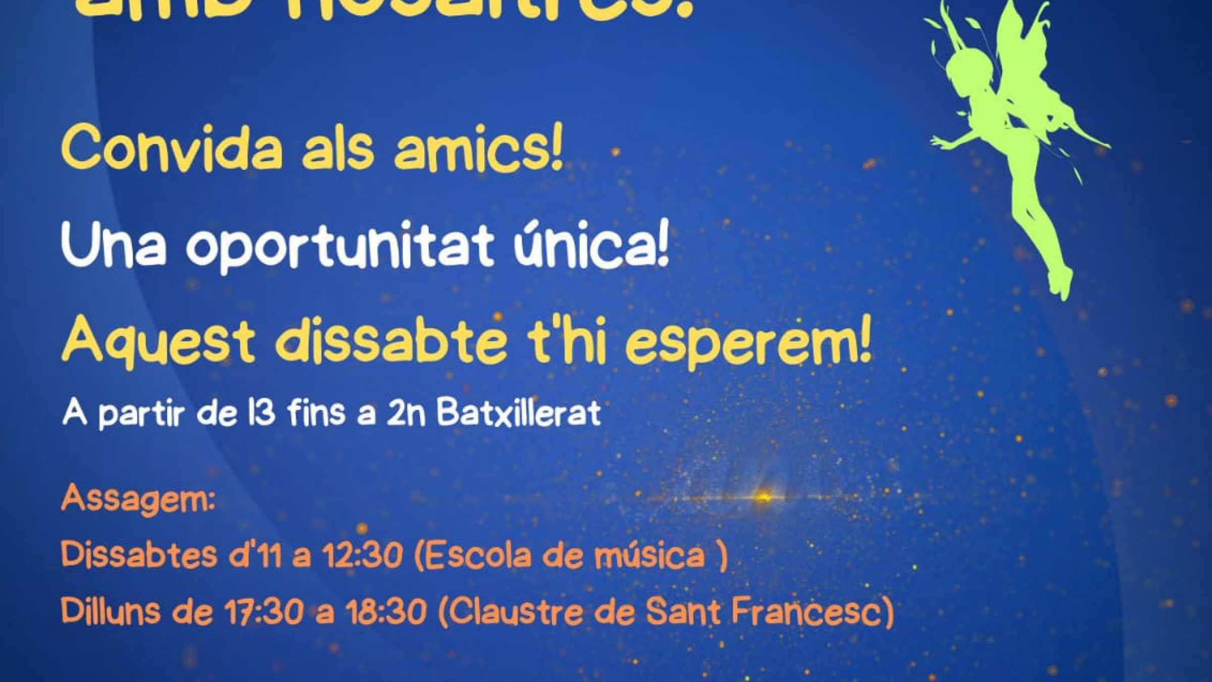 Vine a fer el musical Peter Pan amb nosaltres!